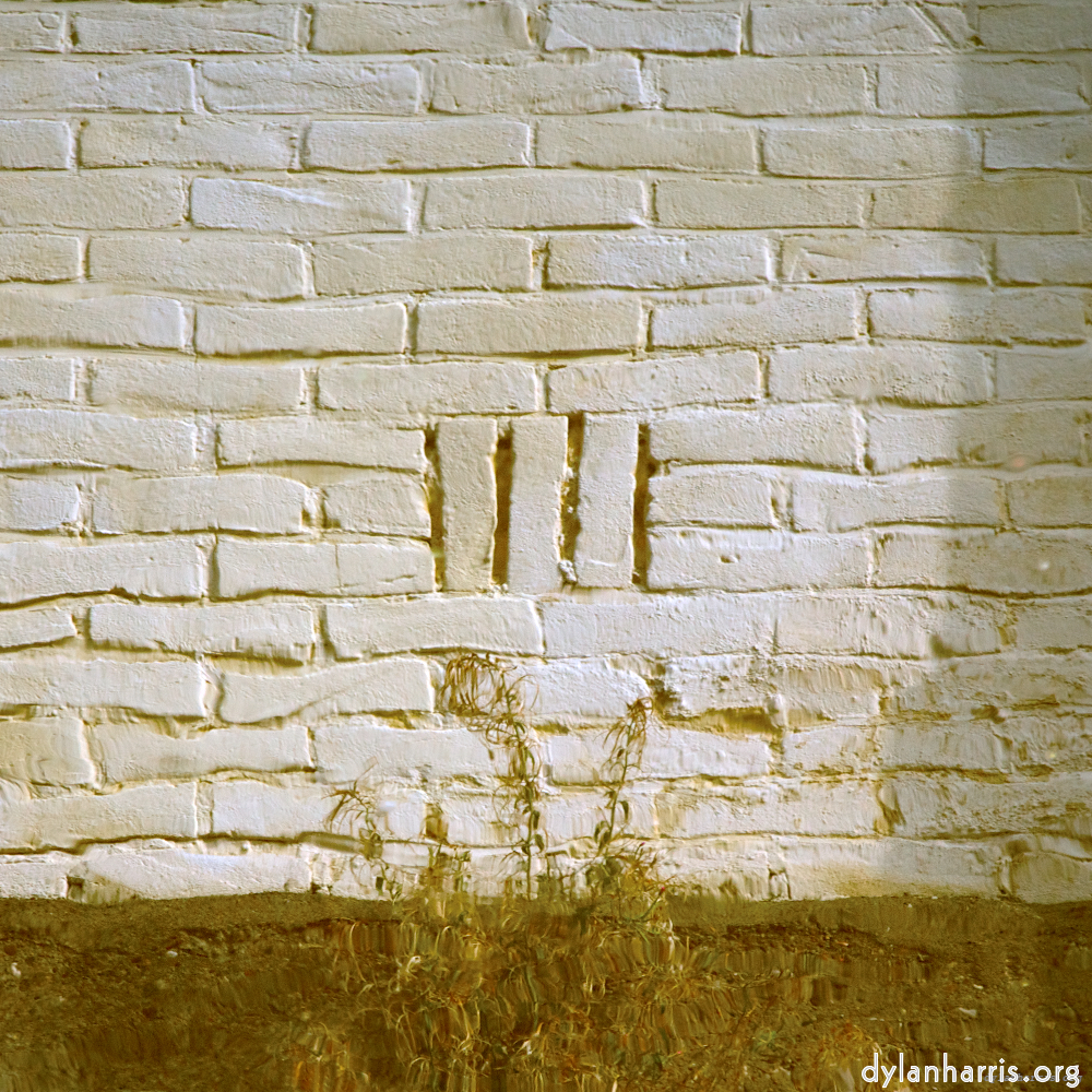 Image: Image 'gouda (v) 5'.