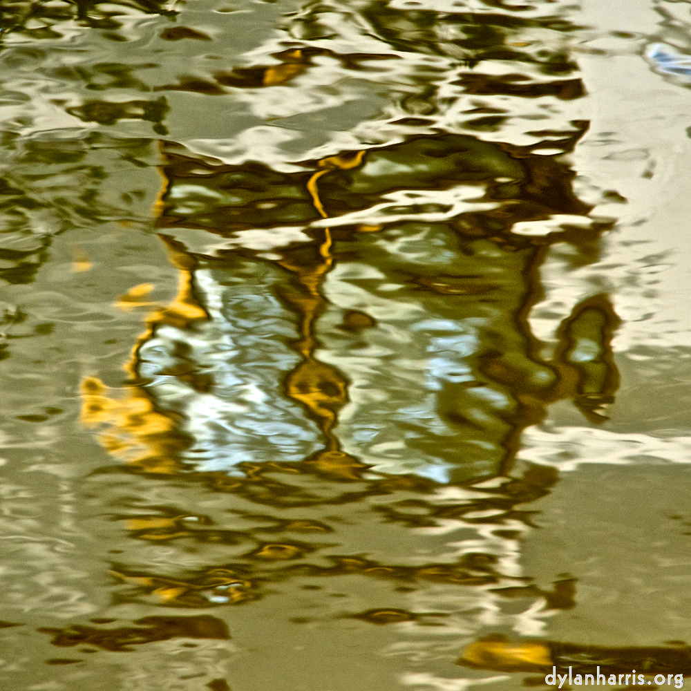 Image: Image 'gouda (v) 6'.