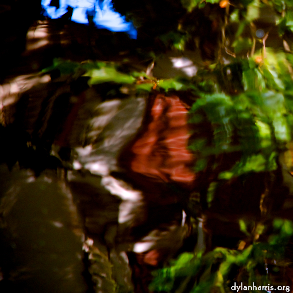 Image: Image 'gouda (v) 9'.