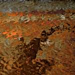 Image: First image from the photoset 'gouda (v)'.