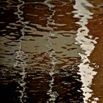 Image: Second image from the photoset 'gouda (v)'.