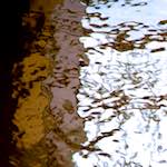 Image: Third image from the photoset 'gouda (v)'.