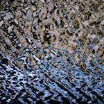 Image: Fourth image from the photoset 'gouda (v)'.