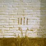 Image: Fifth image from the photoset 'gouda (v)'.