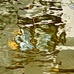 Image: Sixth image from the photoset 'gouda (v)'.