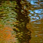 Image: Seventh image from the photoset 'gouda (v)'.