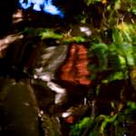 Image: Ninth image from the photoset 'gouda (v)'.