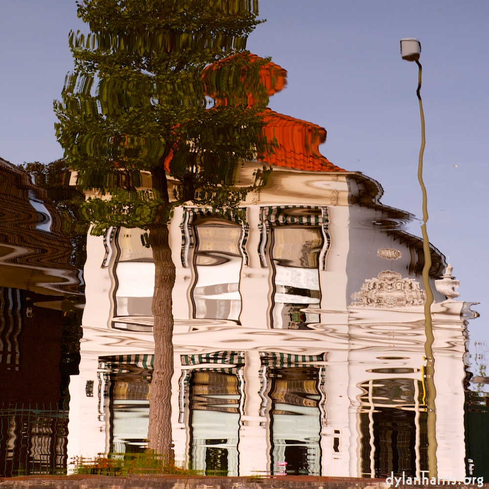 Image: Image 'gouda (vi) 1'.