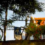 Image: Fourth image from the photoset 'gouda (vi)'.