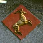 Image: Sixth image from the photoset 'gouda (vi)'.