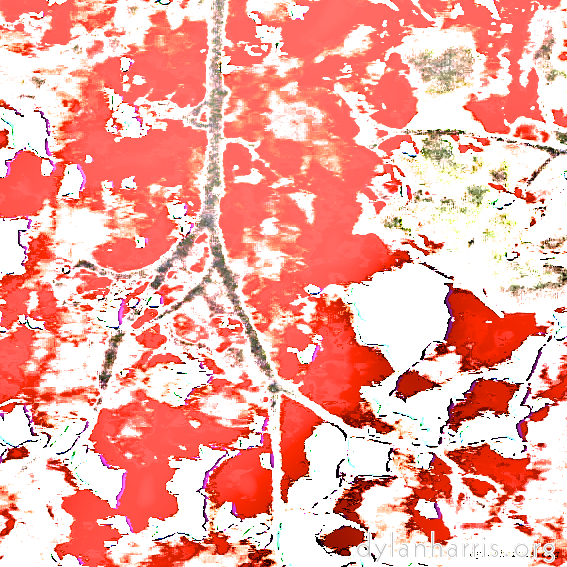 Image: Image 'leaf (iv) 2'.