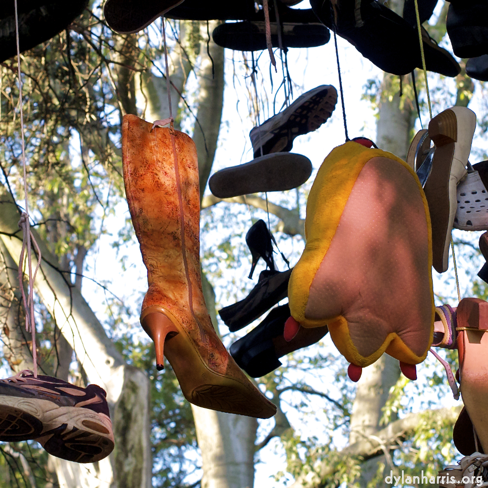 Image 'parc (vii) 7'.