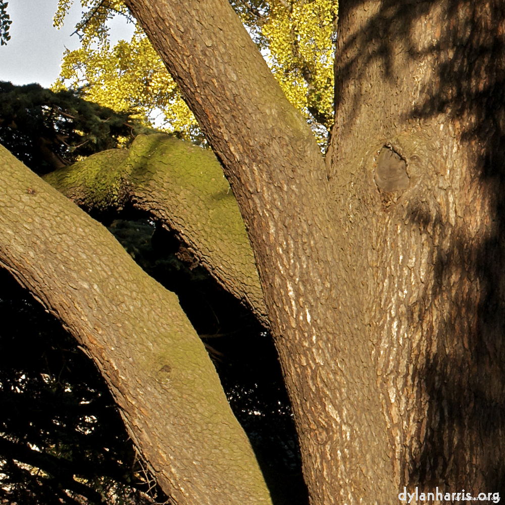 Image 'parc (vii) 8'.