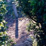 Second image from the photoset 'parc (vii)'.