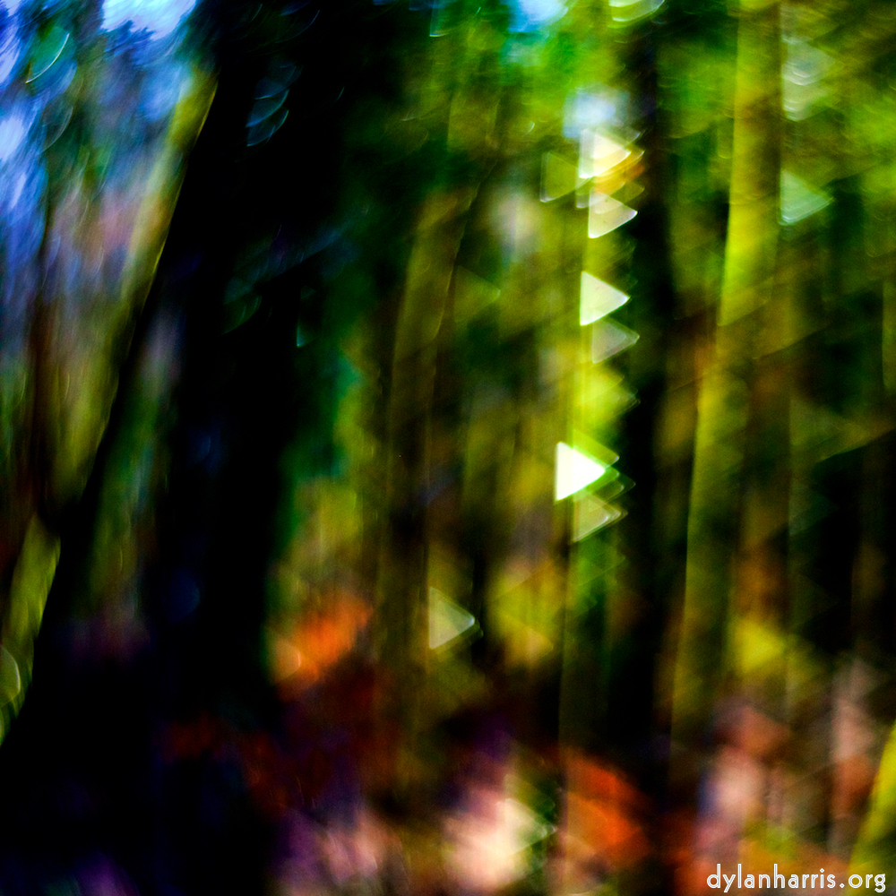 image: This is ‘
wood (xxxiv) 5
’.