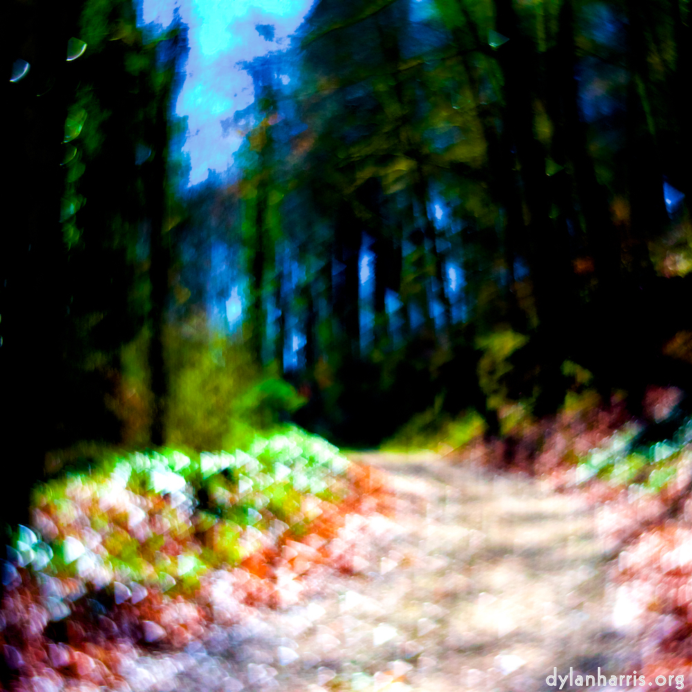 image: This is ‘
wood (xxxiv) 7
’.