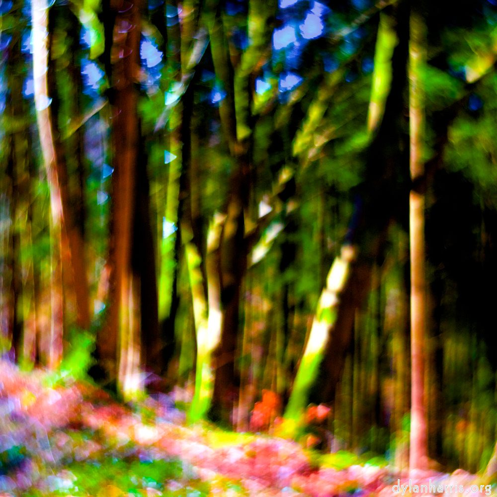 image: This is ‘
wood (xxxv) 5
’.