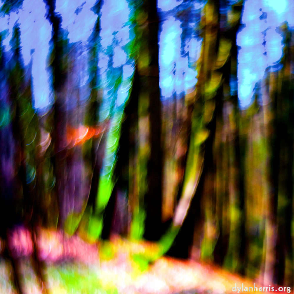 image: This is ‘
wood (xxxv) 7
’.