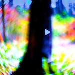 image: Image from the photoset ‘
wood (xxxv)
’.