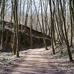 image: Image from the photoset ‘
wood (xxxvi)
’.