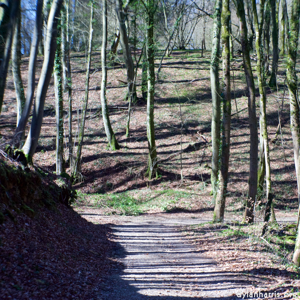 image: Image 'wood (xxxvii) 3'