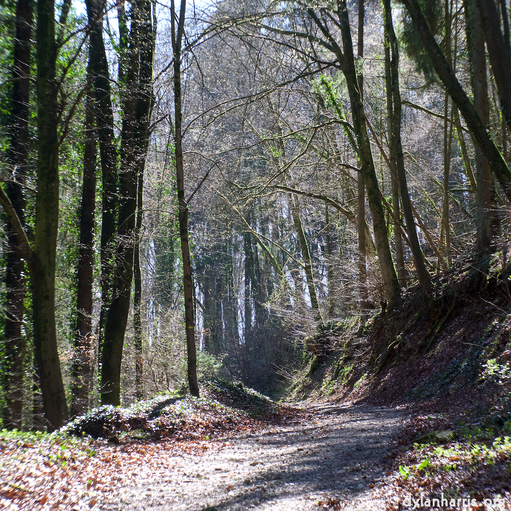 image: This is ‘
wood (xxxvii) 5
’.