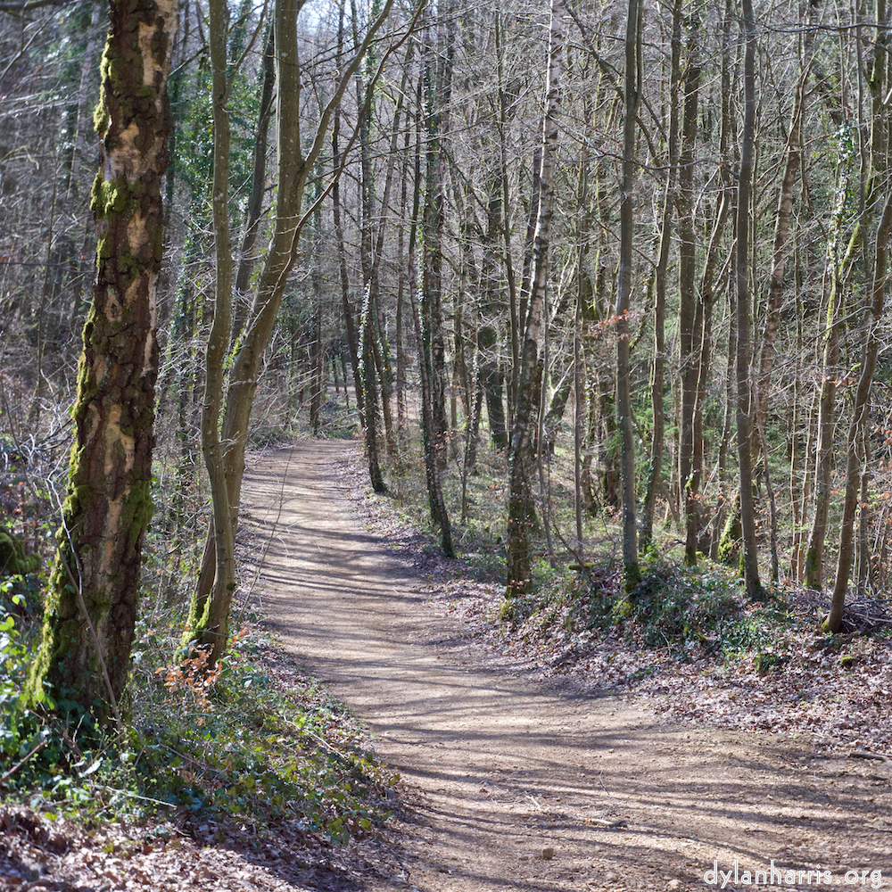 image: This is ‘
wood (xxxvii) 7
’.