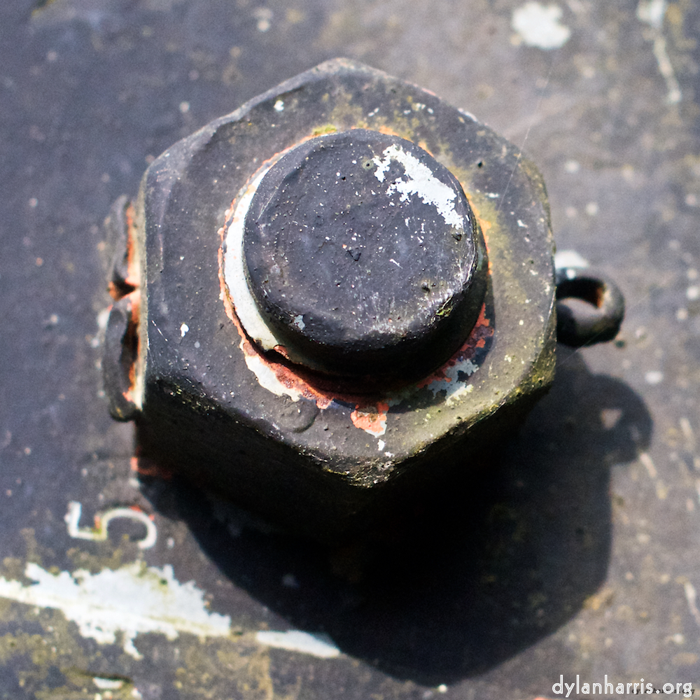 Image: Image 'fond–de–gras (i) 3'.