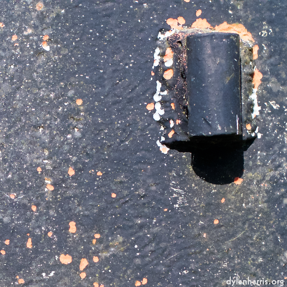 Image: Image 'fond–de–gras (i) 6'.