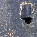 Image: Sixth image from the photoset 'fond–de–gras (i)'.