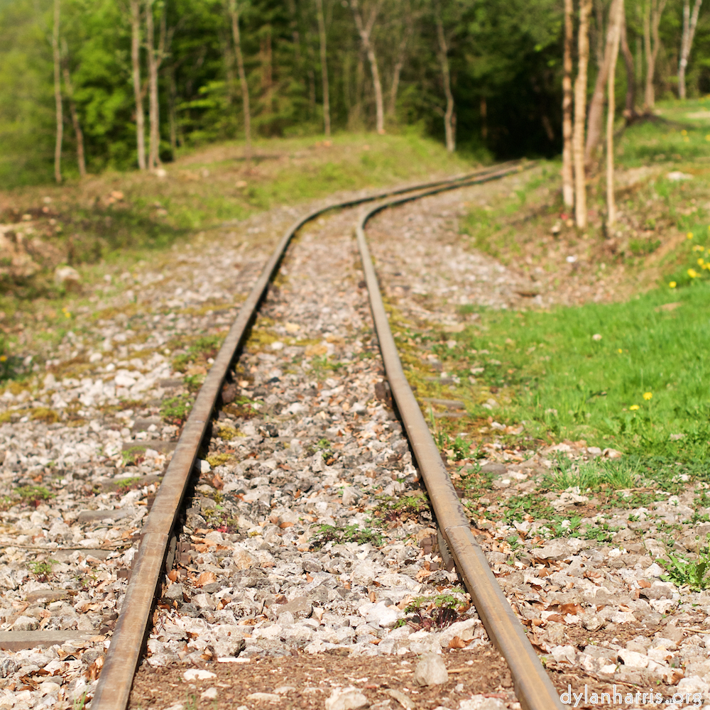 Image: Image 'fond–de–gras (ii) 4'.