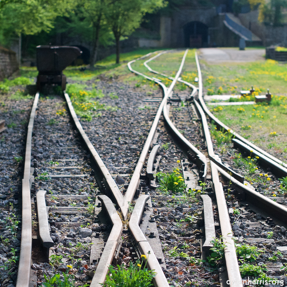 Image: Image 'fond–de–gras (ii) 5'.