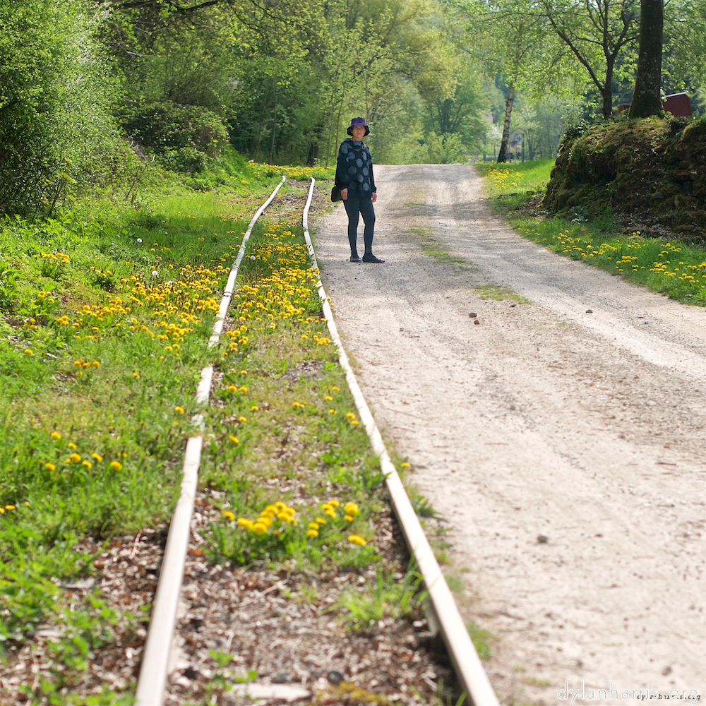 Image: Image 'L (xi) 2'.