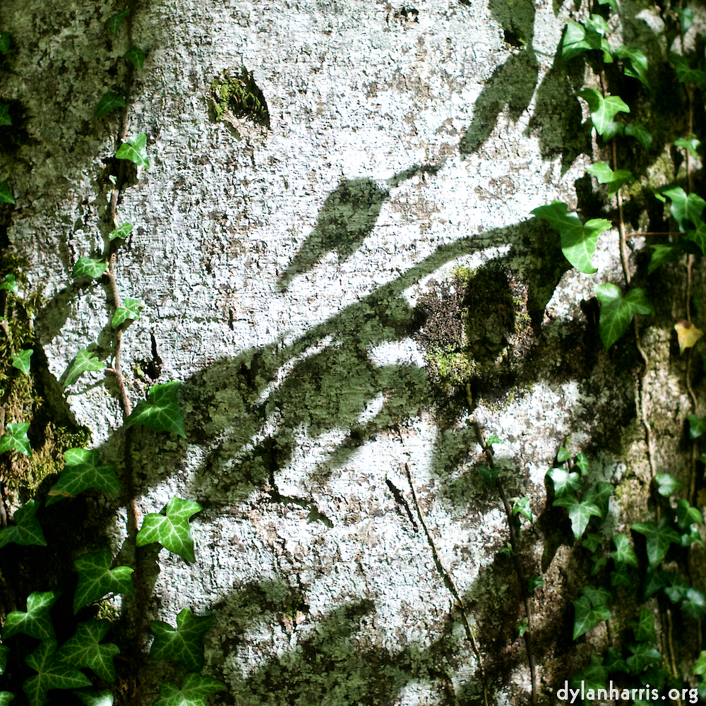 image: This is ‘
wood (xxx) 3
’.