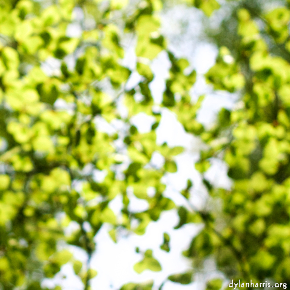 image: This is ‘
wood (xxx) 4
’.