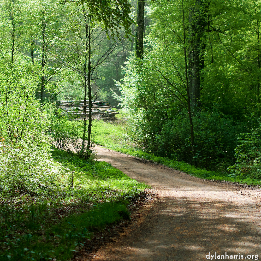 image: This is ‘
wood (xxx) 6
’.