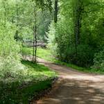 image: Image from the photoset ‘
wood (xxx)
’.