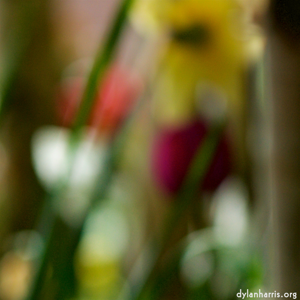 image: Voici ‘park (xxxvi) 1’.