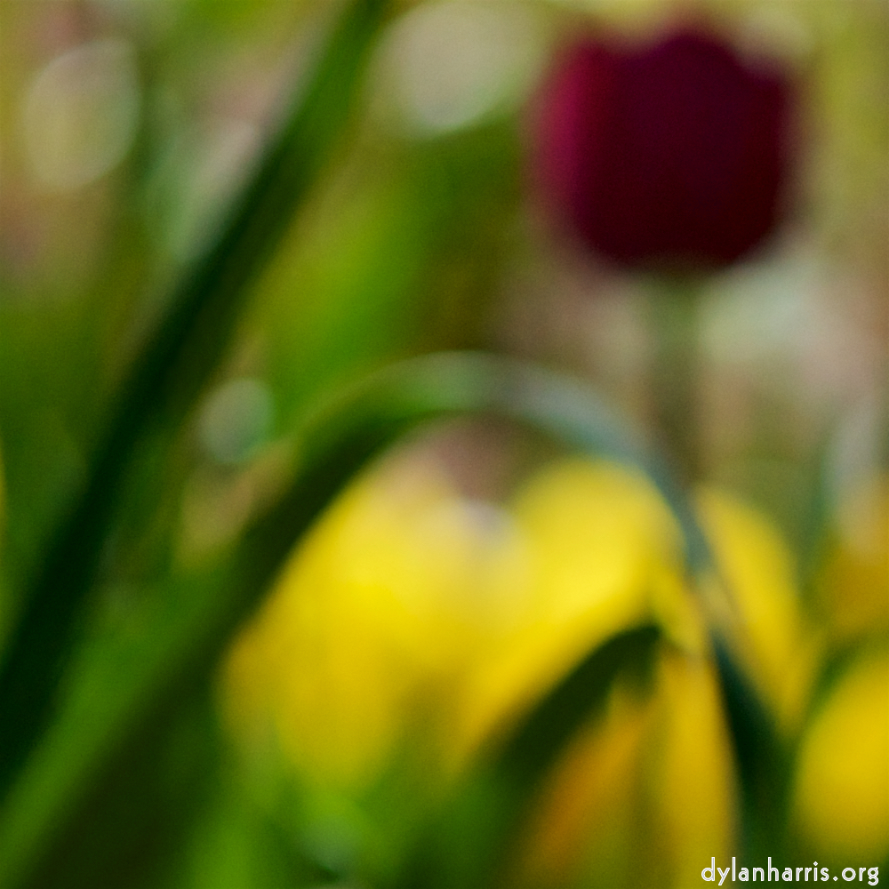 image: Voici ‘park (xxxvi) 3’.