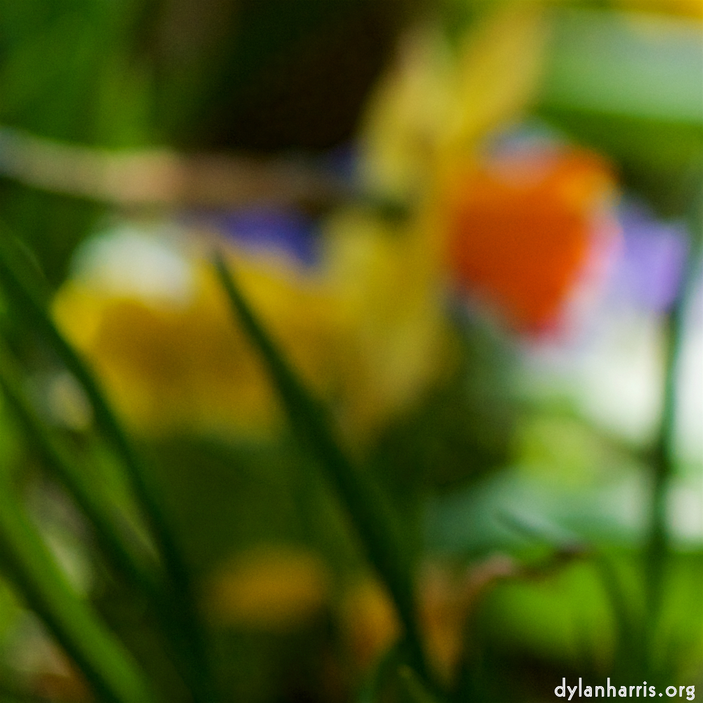 image: Voici ‘park (xxxvii) 1’.