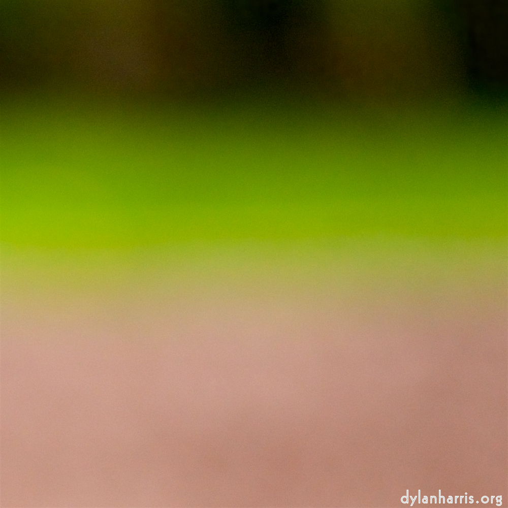 image: Voici ‘park (xxxvii) 2’.