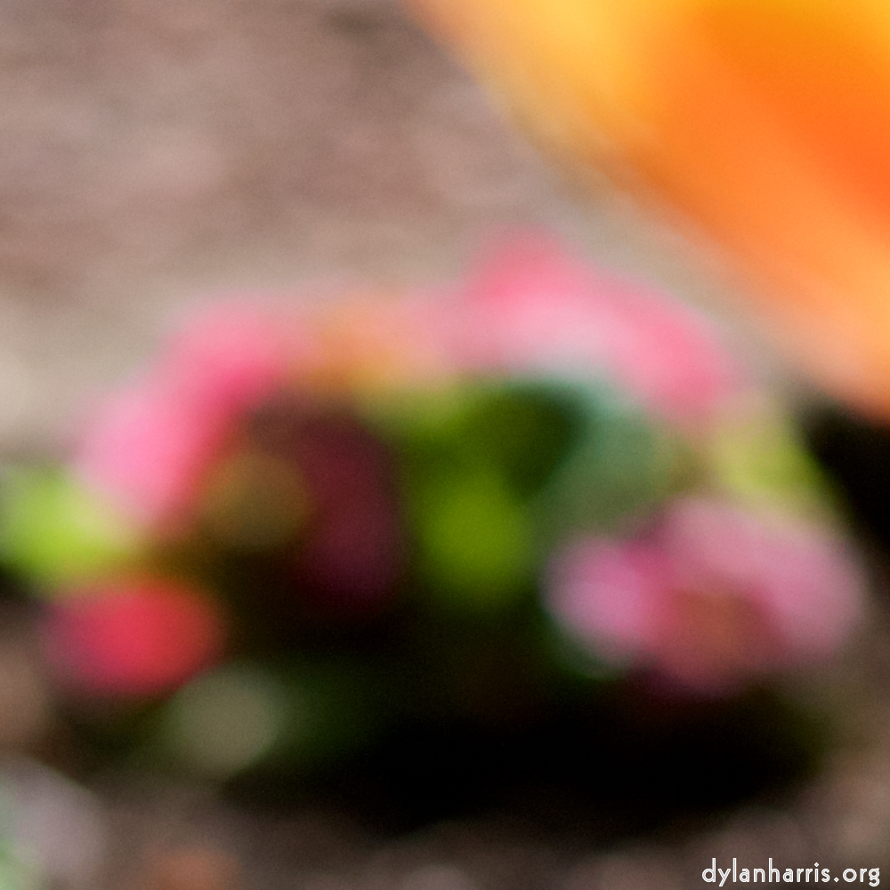 image: Voici ‘park (xxxvii) 3’.