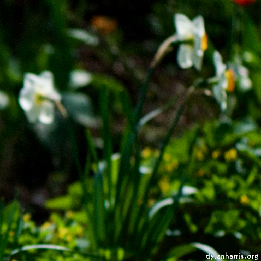 image: Voici ‘park (xxxvii) 6’.