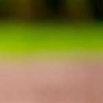 image: Image du photoset ‘park (xxxvii)’.