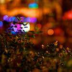 Second image from the photoset 'nuit (v)'.