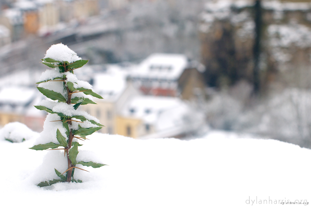 Image: Image 'rham (iv) 2'.