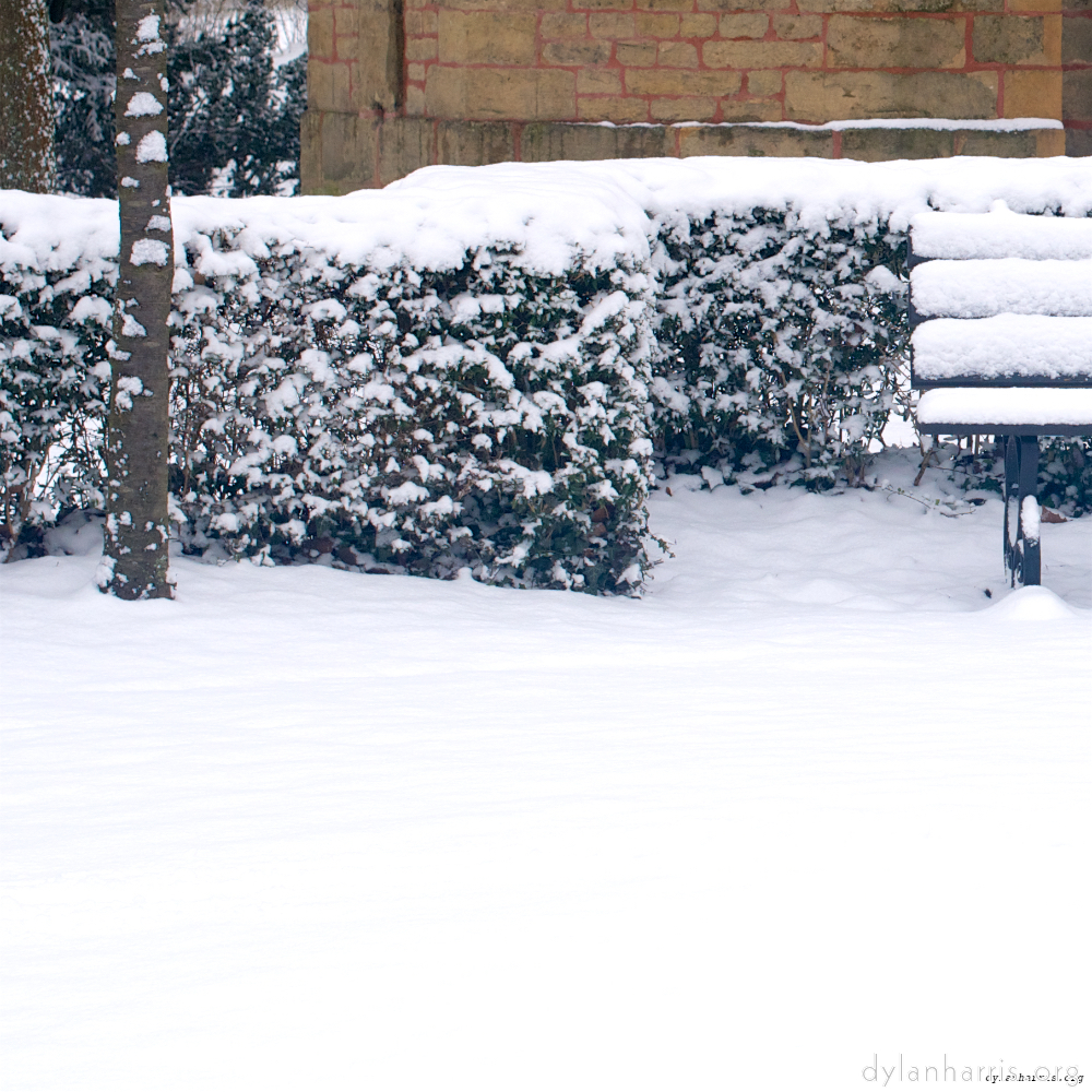 image: This is ‘
rham (v) 1
’.