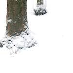 image: Image from the photoset ‘
rham (v)
’.