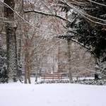 image: Image from the photoset ‘
way to work B (vii)
’.