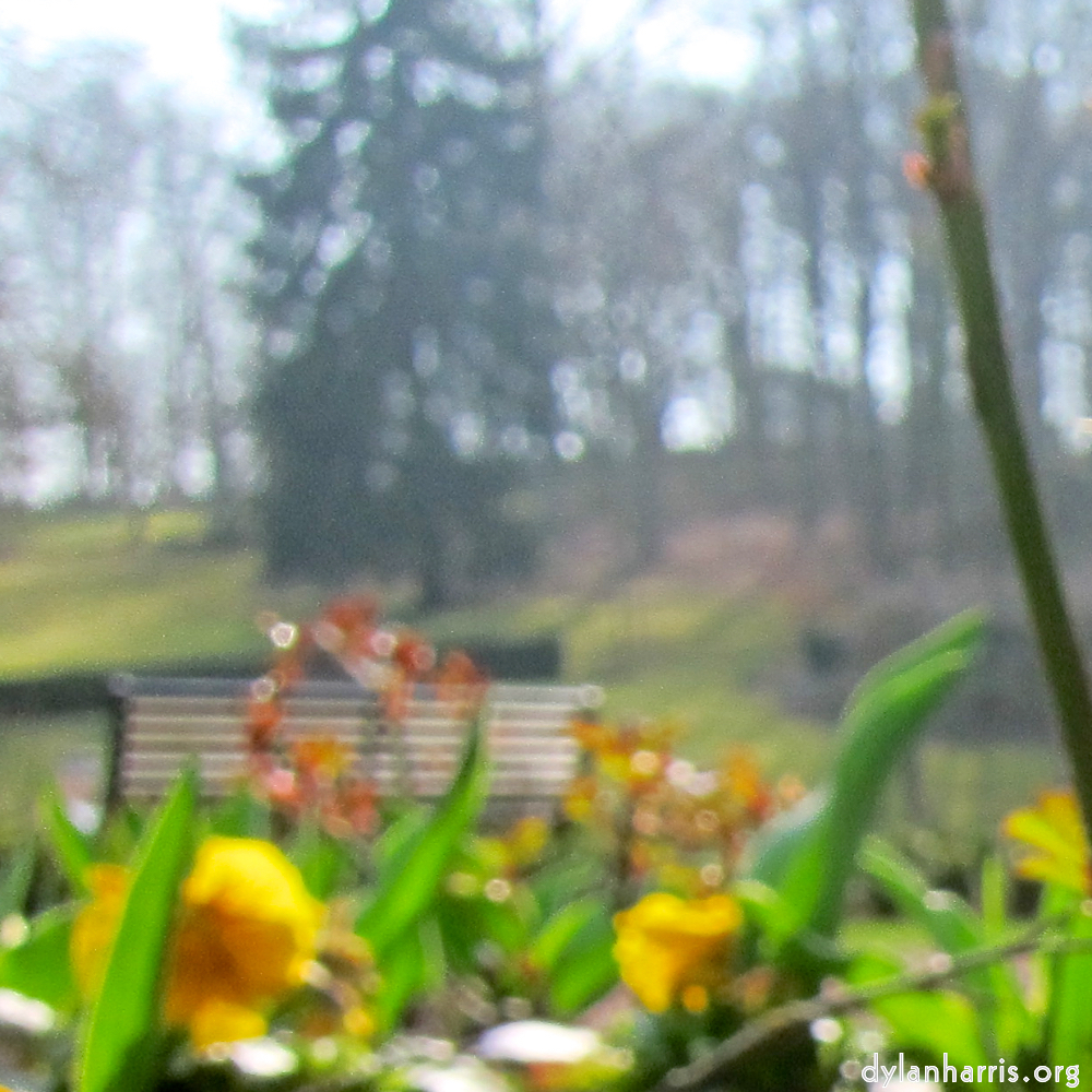 image: Voici ‘fleurs d’esch (cxx) 3’.